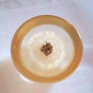 Vintage 1950s Dandelion Bloom In Resin Mid-Century Decor Paperweight